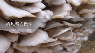 清炖鸭肉做法