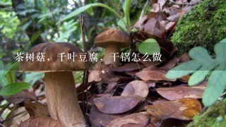 茶树菇，千叶豆腐，干锅怎么做