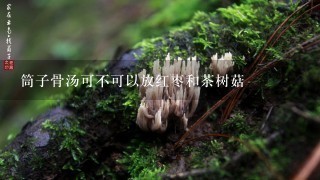 筒子骨汤可不可以放红枣和茶树菇