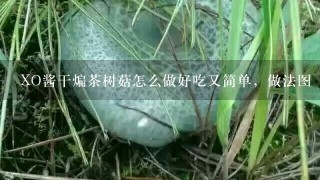 XO酱干煸茶树菇怎么做好吃又简单，做法图