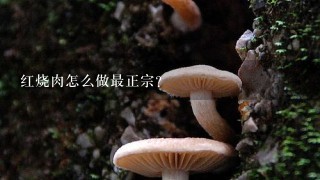 红烧肉怎么做最正宗？