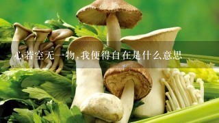 心若空无1物,我便得自在是什么意思