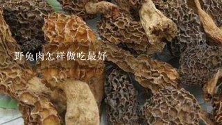 野兔肉怎样做吃最好