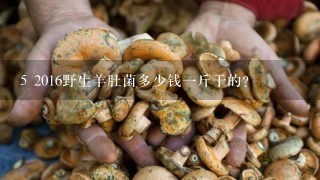 5 2016野生羊肚菌多少钱1斤干的？