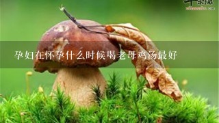 孕妇在怀孕什么时候喝老母鸡汤最好