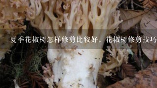 夏季花椒树怎样修剪比较好，花椒树修剪技巧