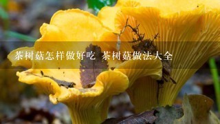 茶树菇怎样做好吃 茶树菇做法大全