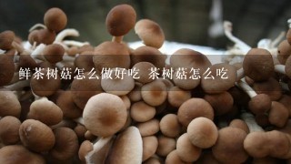 鲜茶树菇怎么做好吃 茶树菇怎么吃