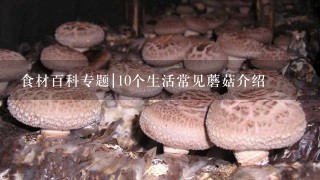 食材百科专题|10个生活常见蘑菇介绍