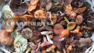 大棚养殖黑白膜能用多久