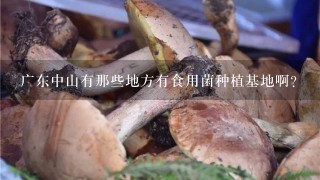广东中山有那些地方有食用菌种植基地啊？