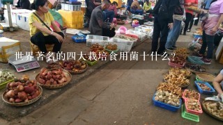 世界著名的4大栽培食用菌十什么？