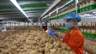 如何识别手机中的2维码图片？（2维码图片存在手机里）