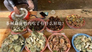 茶树菇炖鸭肉吃了有什么好处?