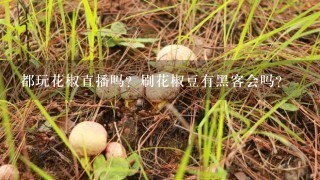 都玩花椒直播吗？刷花椒豆有黑客会吗？