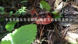 冬季菜谱家常菜做法 湘菜菜谱家常菜做法