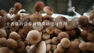 干香菇的营养价值及功效与作用