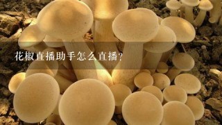 花椒直播助手怎么直播？