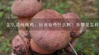 怎么清炖炖鸡，应该放些什么料？步骤是怎样的？