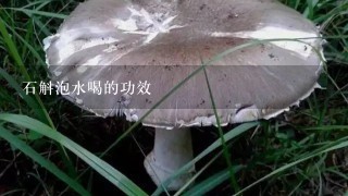 石斛泡水喝的功效