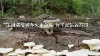 茶树菇要煮多久才会熟 鲜干煮法各不同