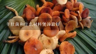 羊肚菌和什么材料煲汤最好