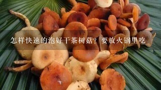 怎样快速的泡好干茶树菇？要放火锅里吃