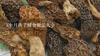 8个月孩子辅食做法大全