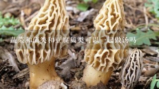 蔬菜和菌类和豆腐贝类可以1起做汤吗