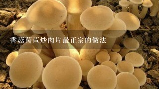 香菇莴苣炒肉片最正宗的做法