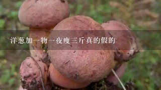 洋葱加1物1夜瘦3斤真的假的