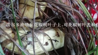 泼尔多液喷在花椒树叶子上,对花椒树叶光和作用有影响吗？