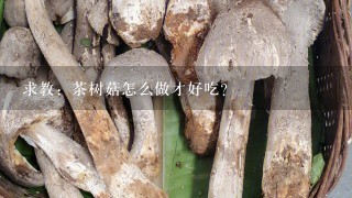 求教：茶树菇怎么做才好吃？