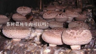 茶树菇炖牛肉可以吗？
