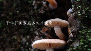 干牛肝菌要煮多久才能吃