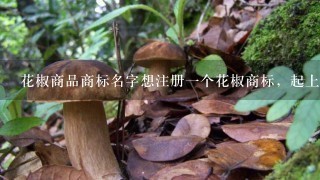 花椒商品商标名字想注册1个花椒商标，起上1个好名子，求得到1个答案。