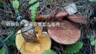 砂锅第1次用需要怎么处理