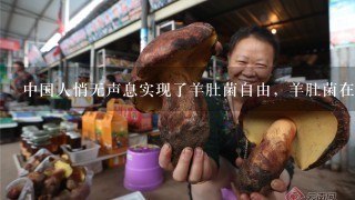中国人悄无声息实现了羊肚菌自由，羊肚菌在国际市场