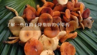 了解1些有助于降脂肪的中草药