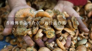 香橼佛手大枣合在1起什么作用