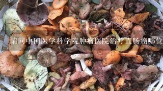 请问中国医学科学院肿瘤医院治疗直肠癌哪位专家最好