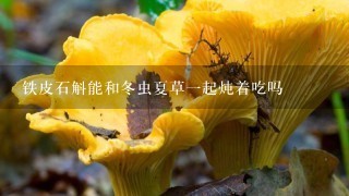 铁皮石斛能和冬虫夏草1起炖着吃吗