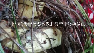 【下奶的海带汤怎么做】海带下奶汤做法