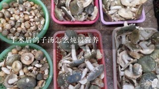 手术后鸽子汤怎么炖最营养