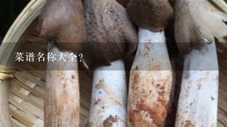 菜谱名称大全？