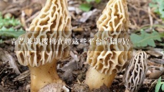 青芒兼职樱桃直聘这些平台靠谱吗？