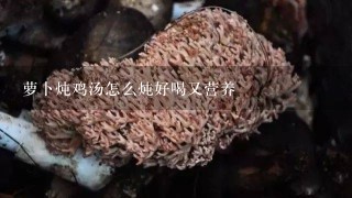 萝卜炖鸡汤怎么炖好喝又营养