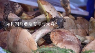 如何判断蘑菇有毒与无毒?