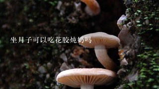 坐月子可以吃花胶炖奶吗