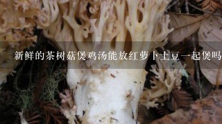 新鲜的茶树菇煲鸡汤能放红萝卜土豆1起煲吗